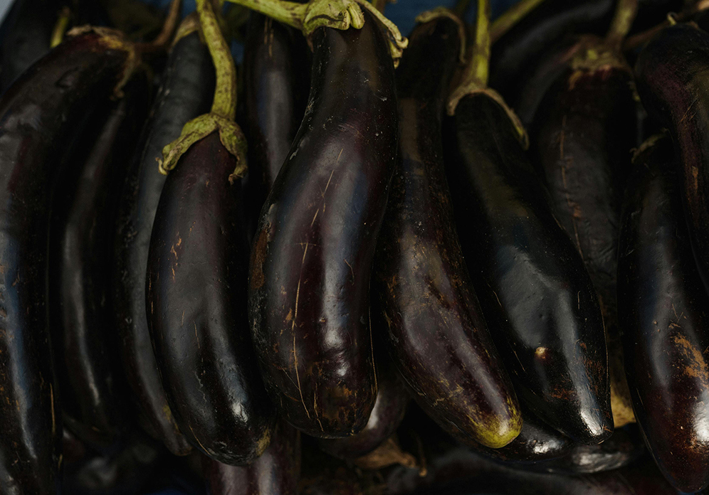Melanzana grigliata