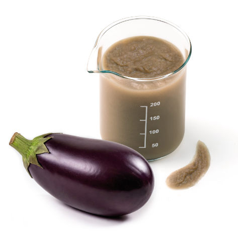 Melanzana grigliata