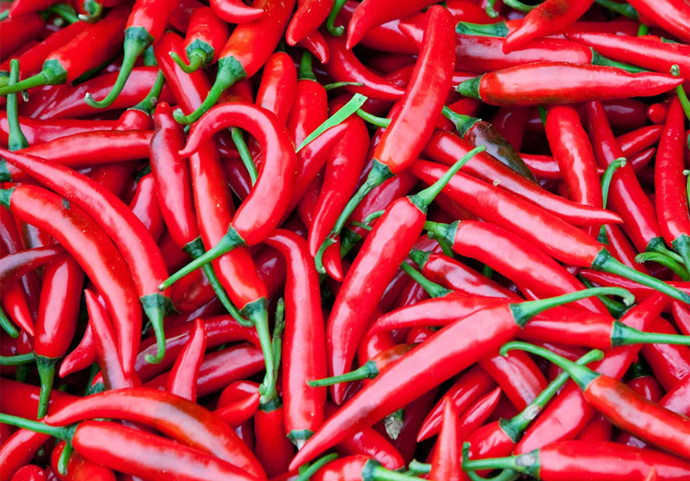 Peperoncino